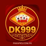 DK999 Game